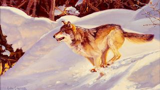 Julie Jeppsen | Wolf Running in Snow