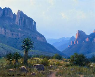 Michael Stack | Morning in the Chiricahuas