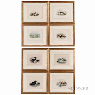 Eight Framed Lithographs of Ducks