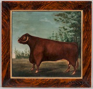 American School, 19th Century      Portrait of a Bull