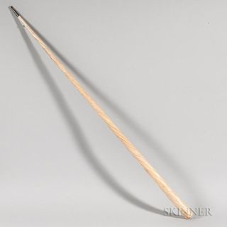 Polished Narwhal Tusk with Silver Tip