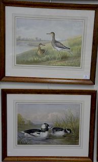Alexander Pope Jr. (1849-1942), set of six chromolithographs from "Upland Game Birds and Water Fowl of the United States" inc