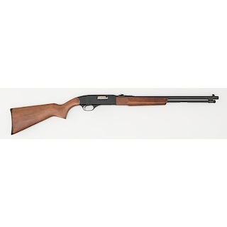 **Winchester Model 190 Rifle