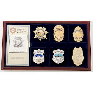 Reproduction Officer Badge Collection