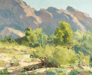 Kevin Macpherson | Arizona Landscape