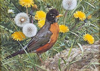 Robin and Dandelions by Carl Brenders