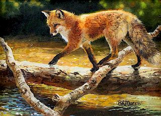 Little Red Fox by Bonnie Marris