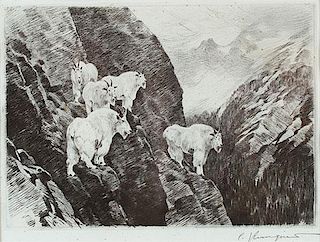 Goats by Carl Rungius