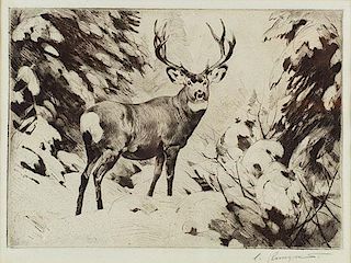 Mule Deer by Carl Rungius
