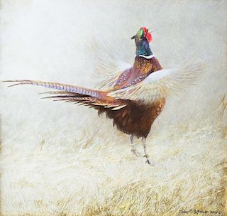 Ring-Necked Pheasant Crowing by Robert Bateman