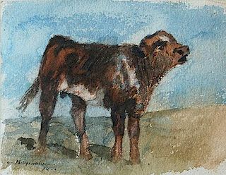 Calf by Philip R. Goodwin