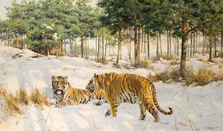 Siberian Tigers by Donald Grant