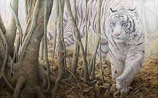 Softly, Softly - White Tiger by John Seerey-Lester
