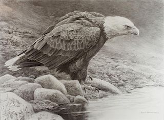 Bald Eagle by Robert Bateman