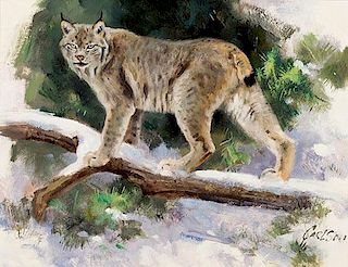 Lynx by Ken Carlson