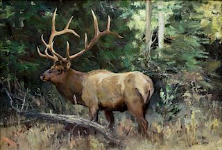 Bull Elk by Ken Carlson