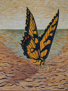 Marcos Antonio, Giant Swallowtail Butterfly Series