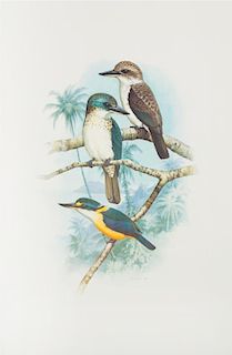 FORSHAW, Joseph Michael and COOPER, William T. Kingfishers and Related Birds. Sydney, 1983-1994