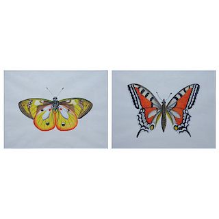 Two (2) Hand-painted gouache on silk screen paintings of Butterflies.