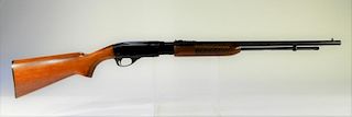 Remington Fieldmaster Model 572 22 Cal. Rifle