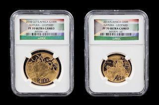 A South Africa 2014 Natura: Leopard Four Gold Coin Proof Set