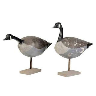 Two Carved Canada Geese Decoys