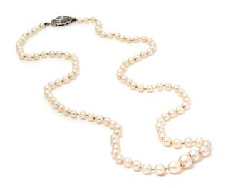 A Graduated Single Strand Cultured Akoya Pearl Necklace With Platinum and Diamond Clasp.