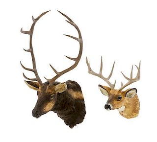 Two Taxidermy Shoulder Mounts, Height of taller 5 inches.