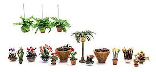 Fourteen Houseplants, Height of tallest 3 inches.