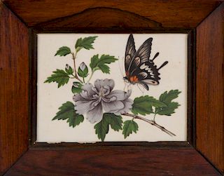 Chinese Export Painting of a Butterfly on a Flowering Branch