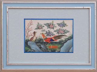 Set of Twelve Chinese Paintings of Exotic Birds and Flowers on Pith Paper