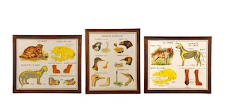 3 French Mid-Century Animal Educational Posters