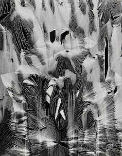 Brett Weston (American, 1911-1993)      Cracked Paint, Garrapata