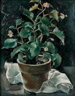 Walter Murch (American, 1907-1967)      Still Life with Potted Begonia
