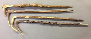 Four Similar Stag Handled Walking Sticks
