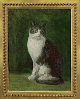 Sarah Eddy (born 1852) "Cat with Green Eyes"
