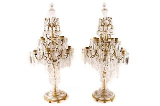 Pair, Louis XV Style 12 Light Crystal Candelabras