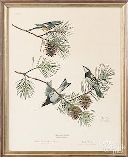 Four Ray Harm signed bird prints