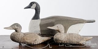 Canvasback Canada goose decoy