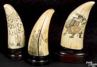 Three scrimshaw decorated whale teeth