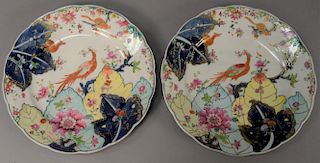 Pair of Chinese export porcelain tobacco leaf plates, painted in Famille Rose enamels underglaze blue and gilding with phoeni