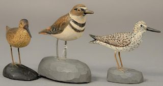 Three Albert J. Ditman (1884-1974) hand carved and painted miniature bird decoys on chip carved bases to include "Kildeer" si
