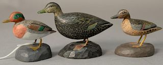 Three Albert J. Ditman (1884-1974) hand carved and hand painted miniature duck decoys on chip carved bases to include "Green 