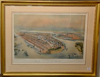 John Bachman  chromolithograph  New York  printed by G. Schlegel and published by Tamsen & Dethlefs, N.Y.  Entered according.