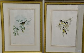After John Gould  set of four hand colored lithographs from Birds of Asia  Iyngipicus Hardwickii  Alcippe Brunnea  Parus Ele.