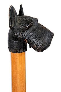 23. Scottish Terrier Glove Holder Cane- Ca. 1880- A natural dark stained Scotty dog with two color glass eyes, a spring lever