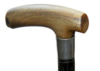 48. Green Horn Dress Cane- Ca. 1890- A substantial horn handle, silver collar, half carved ebony shaft with clover leaves and