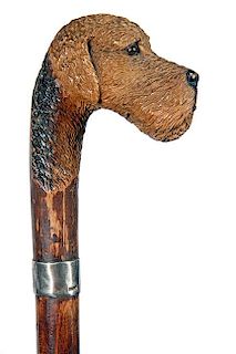 53. Airedale Carved Country Cane- Ca. 1920- A finely carved dog with two color glass eyes, signed sterling collar, hardwood s