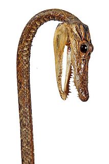 100. Alligator Skull Cane- 20th Century- An unusual crook handle cane which has an actual alligator head with marble eyes as 
