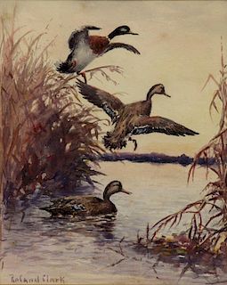 CLARK, Roland. Watercolor on Paper. Ducks in a
